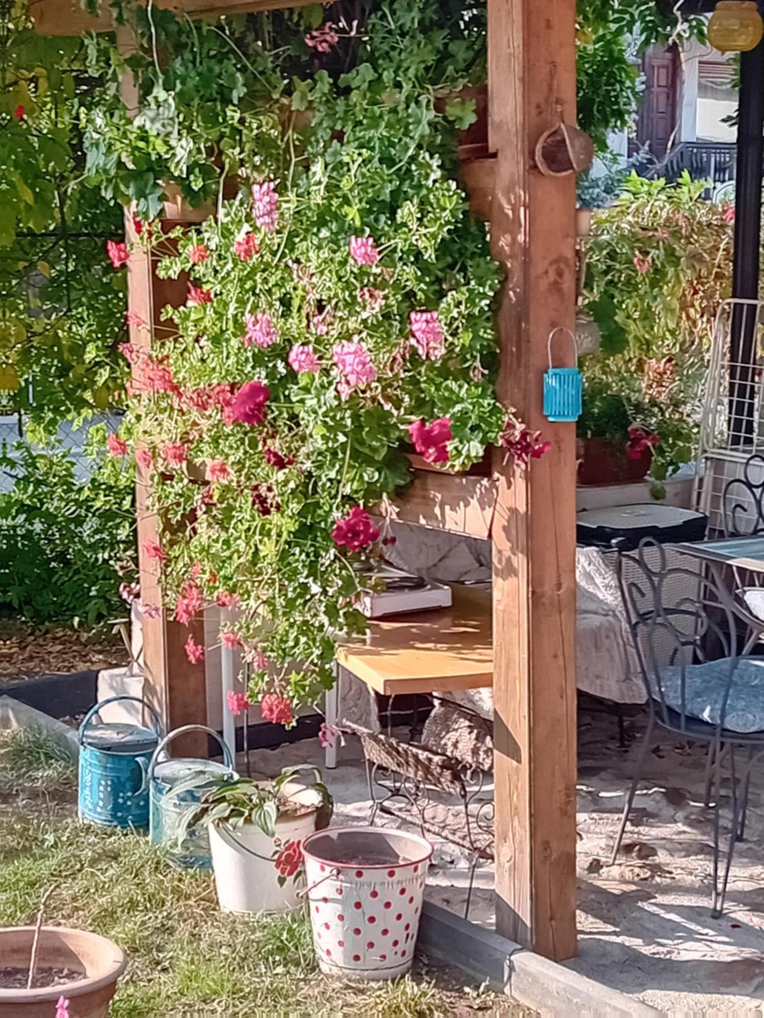 Rose Room 40M2 With Terrace 25M2 In Greeny Area For 4 Person Ljubljana Eksteriør billede