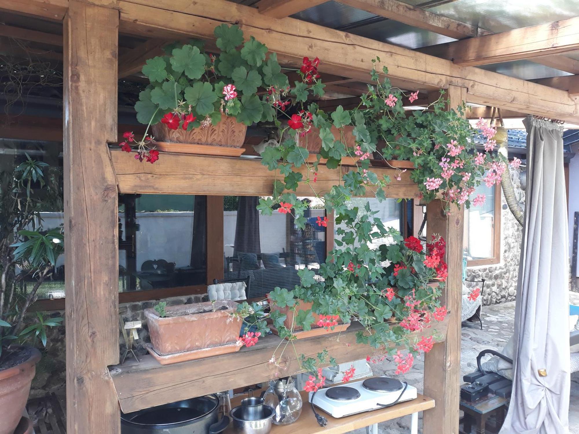 Rose Room 40M2 With Terrace 25M2 In Greeny Area For 4 Person Ljubljana Eksteriør billede