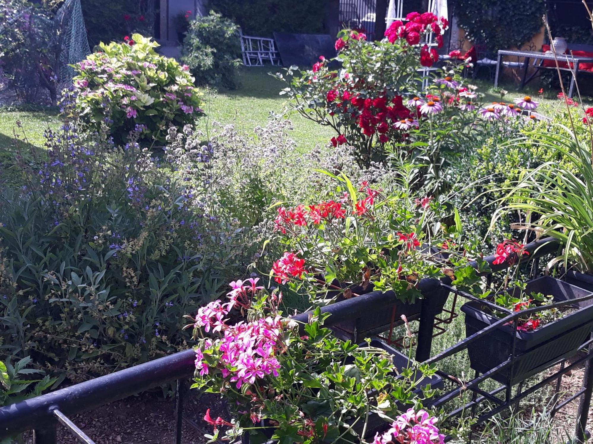 Rose Room 40M2 With Terrace 25M2 In Greeny Area For 4 Person Ljubljana Eksteriør billede