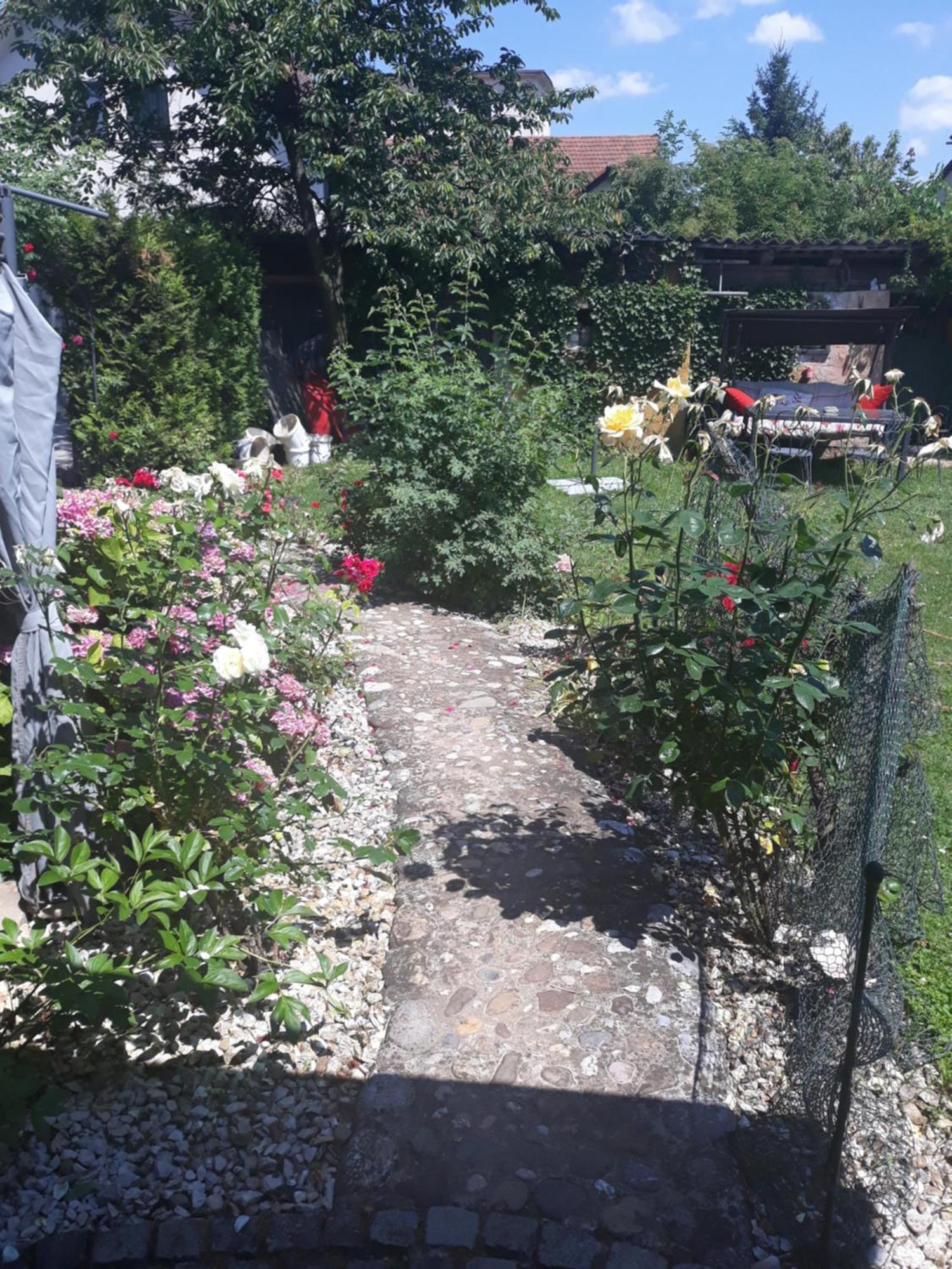 Rose Room 40M2 With Terrace 25M2 In Greeny Area For 4 Person Ljubljana Eksteriør billede
