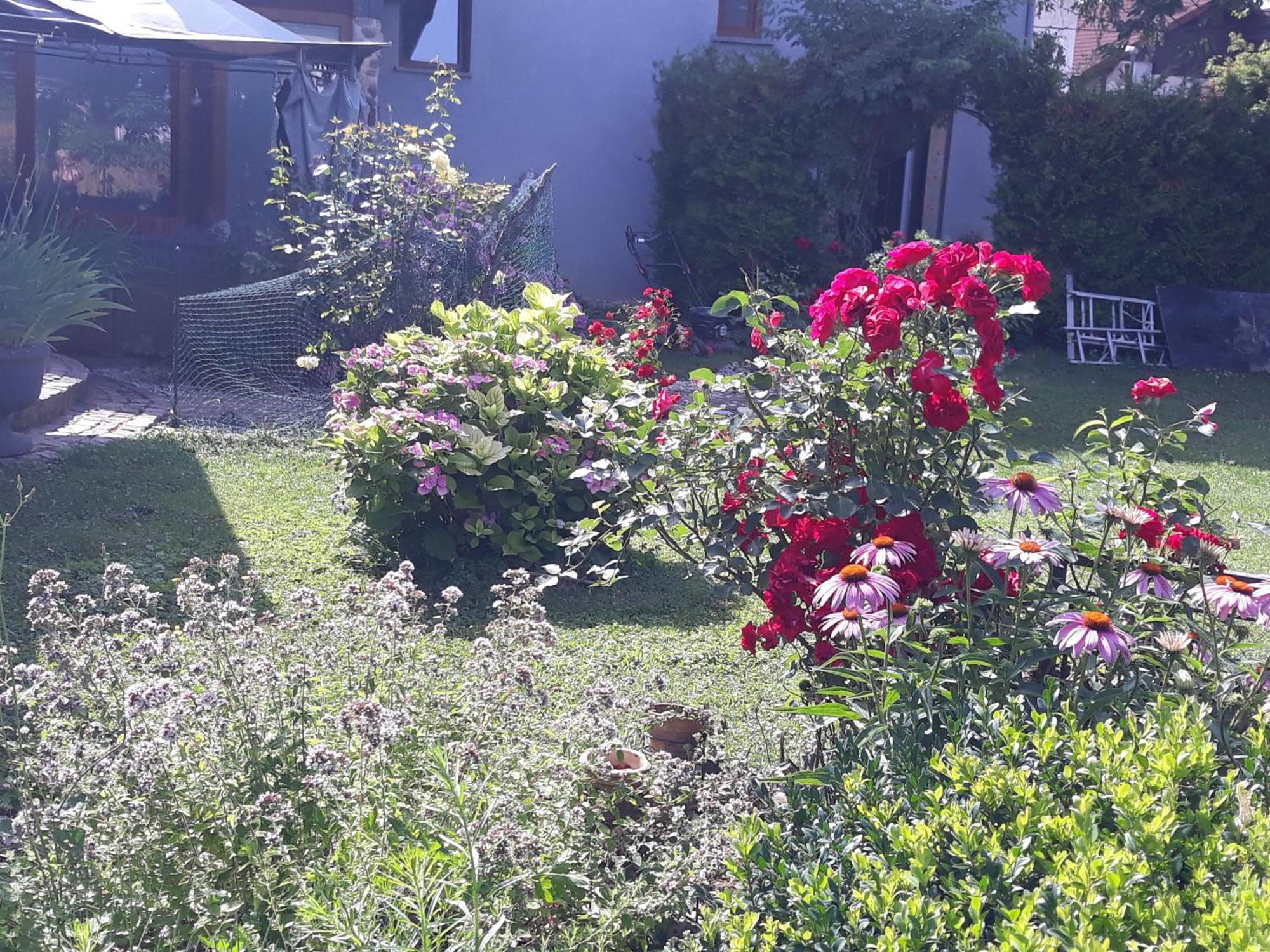 Rose Room 40M2 With Terrace 25M2 In Greeny Area For 4 Person Ljubljana Eksteriør billede